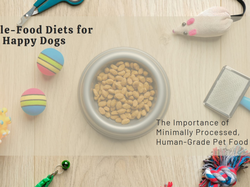 Why Human-Grade Pet Food is a Game-Changer for Your Dog: The Power of Minimally Processed, Whole-Food Diets