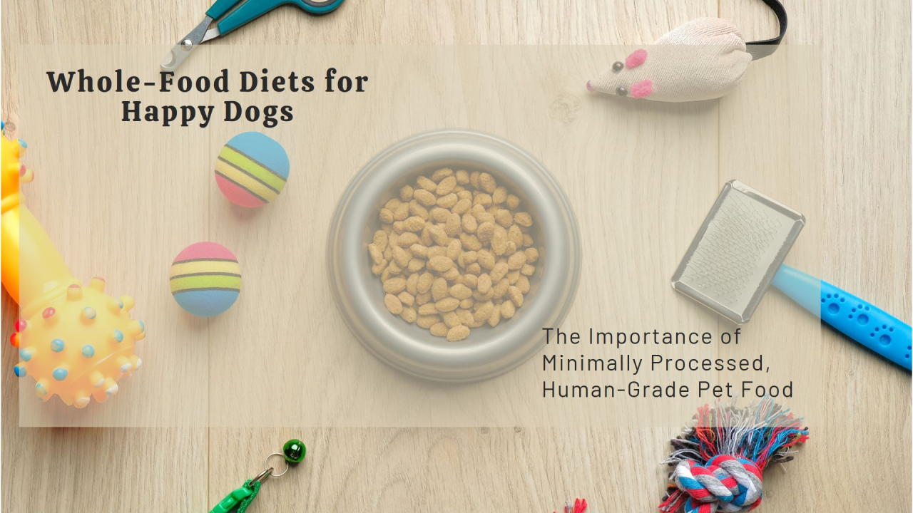 Why Human-Grade Pet Food is a Game-Changer for Your Dog: The Power of Minimally Processed, Whole-Food Diets