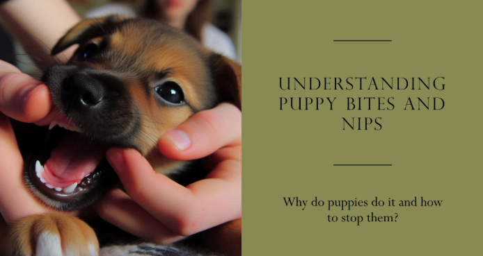 Science behind puppy bites