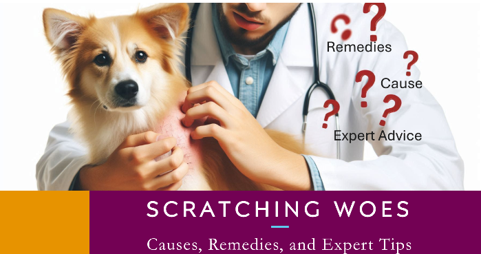 Why Is My Dog Scratching Constantly? Causes, Remedies, and Expert Tips